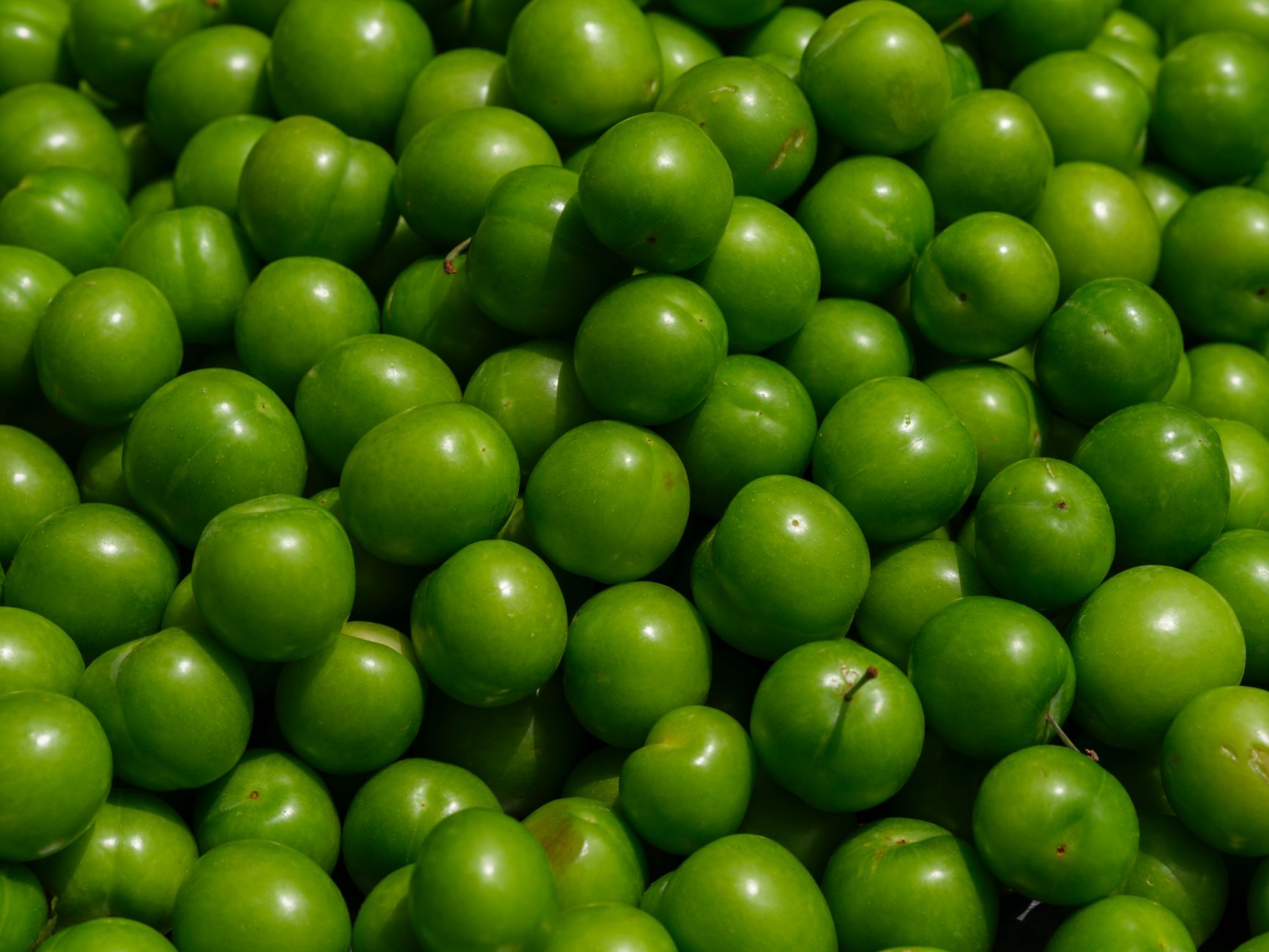 green plum ume fruit fresh summer harvest